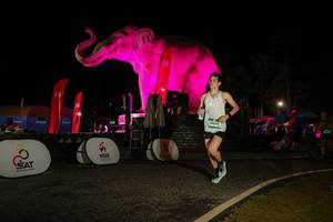 BIB: 
                            <button type="button" onclick="openModal(26534231)" class="btn btn-primary btn-sm float-right btn-popup" data-toggle="modal" data-target=".modal-high-quality">
                        <i class="fas fa-shopping-cart"></i> Add to Cart
                    </button>
                                            <button type="button" onclick="isThisMe(26534231, true)" class="btn btn-success btn-sm float-right btn-popup btn-isme hidden" data-toggle="tooltip" data-placement="bottom" title="นี่คือรูปของคุณใช่ไหม คลิกที่นี่เพื่อเอาเข้าอัลบั้ม">
                        <i class="fas fa-plus"></i> Add to album
                    </button>
                    <button type="button" onclick="isThisMe(26534231, false)" class="btn btn-warning btn-sm float-right btn-popup btn-isnotme hidden">
                        <i class="fas fa-ban"></i> Remove from album
                    </button>